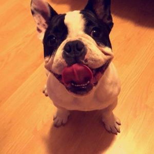 Meet your Posher, Luis